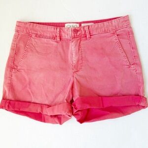 New Anthropologie Pink Women's shorts 29